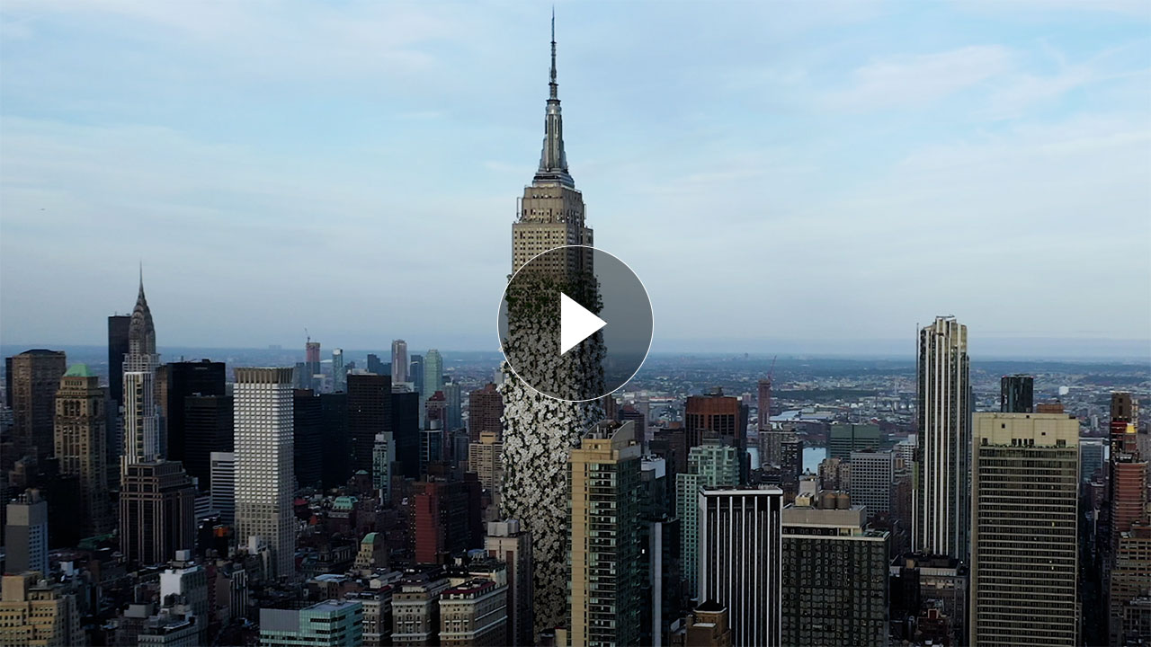 Tune into New York Fashion Week